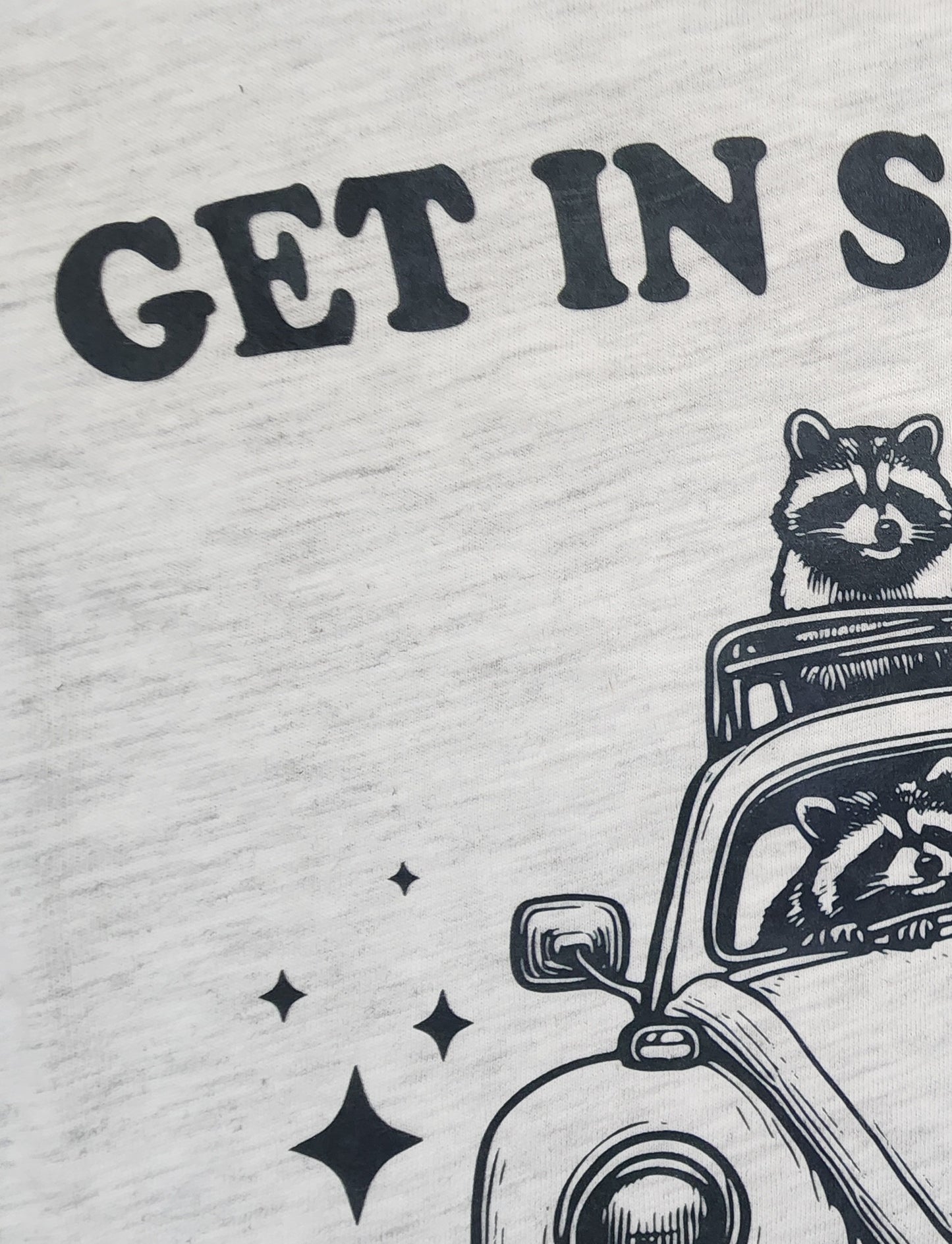 Raccoons-Get in Scavenger